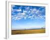 The Bush, Masai Mara National Reserve, Kenya, East Africa, Africa-null-Framed Photographic Print