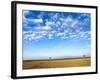 The Bush, Masai Mara National Reserve, Kenya, East Africa, Africa-null-Framed Photographic Print