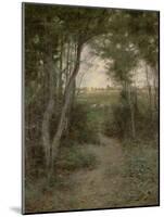 The Bush near Heidelberg, Melbourne, 1898-Frederick McCubbin-Mounted Giclee Print