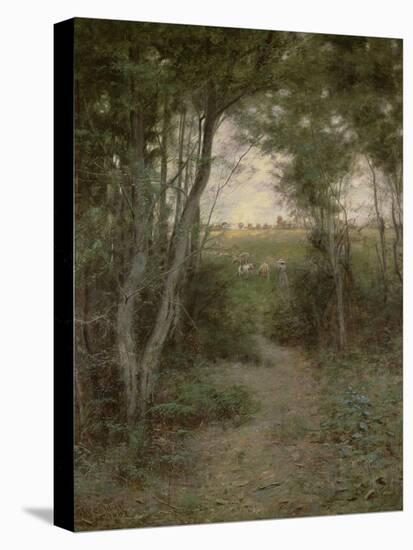 The Bush near Heidelberg, Melbourne, 1898-Frederick McCubbin-Stretched Canvas