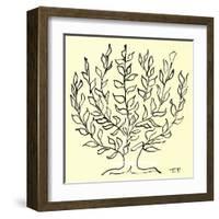 The Bush (Small)-Henri Matisse-Framed Serigraph