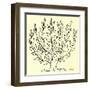 The Bush (Small)-Henri Matisse-Framed Serigraph