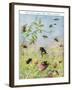 The Busy Bees and their Cousins-Maud Scrivener-Framed Giclee Print