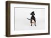 The Butt-Susan Sabo-Framed Photographic Print