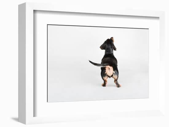 The Butt-Susan Sabo-Framed Photographic Print