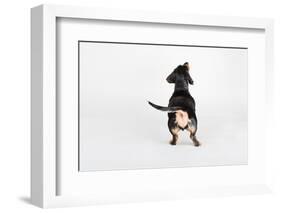 The Butt-Susan Sabo-Framed Photographic Print