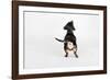 The Butt-Susan Sabo-Framed Photographic Print