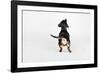 The Butt-Susan Sabo-Framed Photographic Print