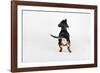 The Butt-Susan Sabo-Framed Photographic Print