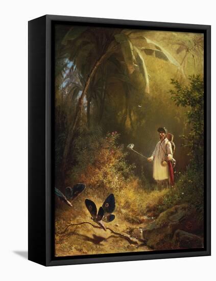 The Butterfly Catcher-Carl Spitzweg-Framed Stretched Canvas
