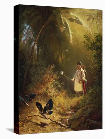 The Butterfly Catcher-Carl Spitzweg-Stretched Canvas