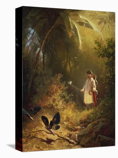 The Butterfly Catcher-Carl Spitzweg-Stretched Canvas