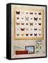 The Butterfly Collector, 2012-13-Rebecca Campbell-Framed Stretched Canvas