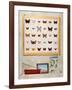 The Butterfly Collector, 2012-13-Rebecca Campbell-Framed Giclee Print