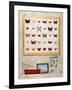 The Butterfly Collector, 2012-13-Rebecca Campbell-Framed Giclee Print