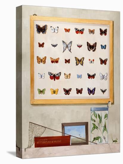 The Butterfly Collector, 2012-13-Rebecca Campbell-Stretched Canvas