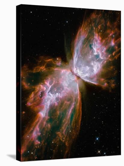 The Butterfly Nebula-Stocktrek Images-Stretched Canvas