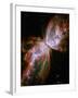 The Butterfly Nebula-Stocktrek Images-Framed Photographic Print