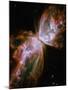 The Butterfly Nebula-Stocktrek Images-Mounted Photographic Print