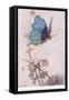 The Butterfly Took Wing-Warwick Goble-Framed Stretched Canvas