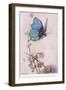 The Butterfly Took Wing-Warwick Goble-Framed Giclee Print