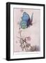 The Butterfly Took Wing-Warwick Goble-Framed Giclee Print