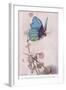 The Butterfly Took Wing-Warwick Goble-Framed Giclee Print