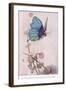 The Butterfly Took Wing-Warwick Goble-Framed Giclee Print