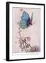 The Butterfly Took Wing-Warwick Goble-Framed Giclee Print