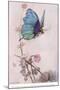 The Butterfly Took Wing-Warwick Goble-Mounted Giclee Print
