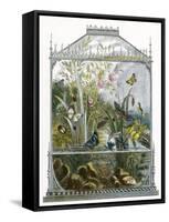 The Butterfly Vivarium-English-Framed Stretched Canvas