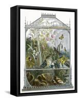 The Butterfly Vivarium-English-Framed Stretched Canvas