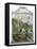 The Butterfly Vivarium-English-Framed Stretched Canvas