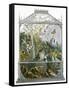 The Butterfly Vivarium-English-Framed Stretched Canvas