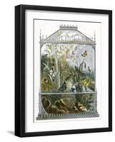 The Butterfly Vivarium-English-Framed Giclee Print