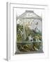 The Butterfly Vivarium-English-Framed Giclee Print