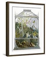 The Butterfly Vivarium-English-Framed Giclee Print