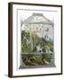 The Butterfly Vivarium-English-Framed Giclee Print