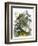 The Butterfly Vivarium-English-Framed Giclee Print