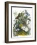 The Butterfly Vivarium-English-Framed Giclee Print