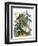 The Butterfly Vivarium-English-Framed Giclee Print