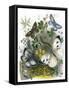 The Butterfly Vivarium-English-Framed Stretched Canvas