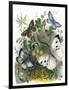 The Butterfly Vivarium-English-Framed Giclee Print