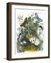 The Butterfly Vivarium-English-Framed Giclee Print