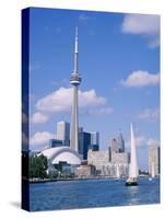 The C.N.Tower and the Toronto Skyline, Ontario, Canada-Roy Rainford-Stretched Canvas