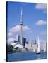 The C.N.Tower and the Toronto Skyline, Ontario, Canada-Roy Rainford-Stretched Canvas