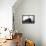 The C&O #1604-null-Framed Stretched Canvas displayed on a wall