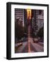 The Cab-Bruce Getty-Framed Photographic Print