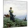 The Cabbage Field, 1914-Charles Courtney Curran-Mounted Giclee Print