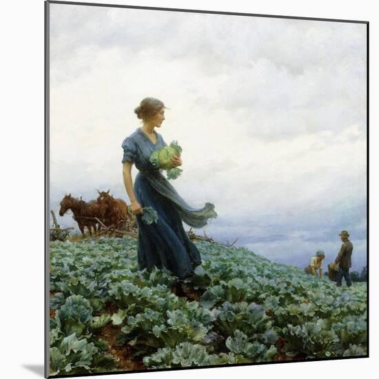 The Cabbage Field, 1914-Charles Courtney Curran-Mounted Giclee Print